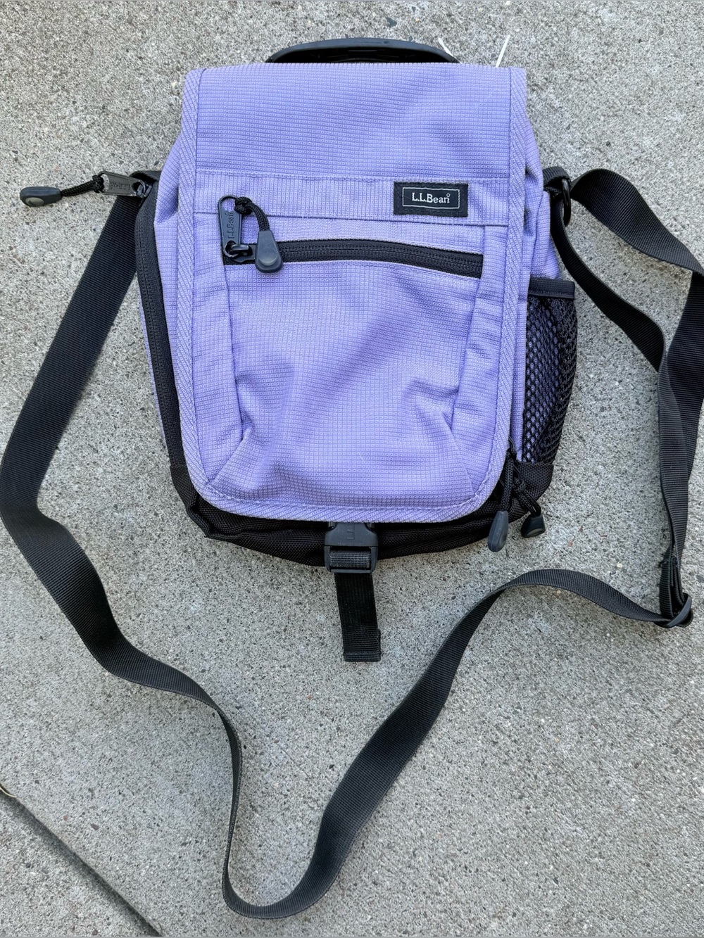 Vintage L.L. Bean Crossbody Messenger Travel Purse Organizer in Purple